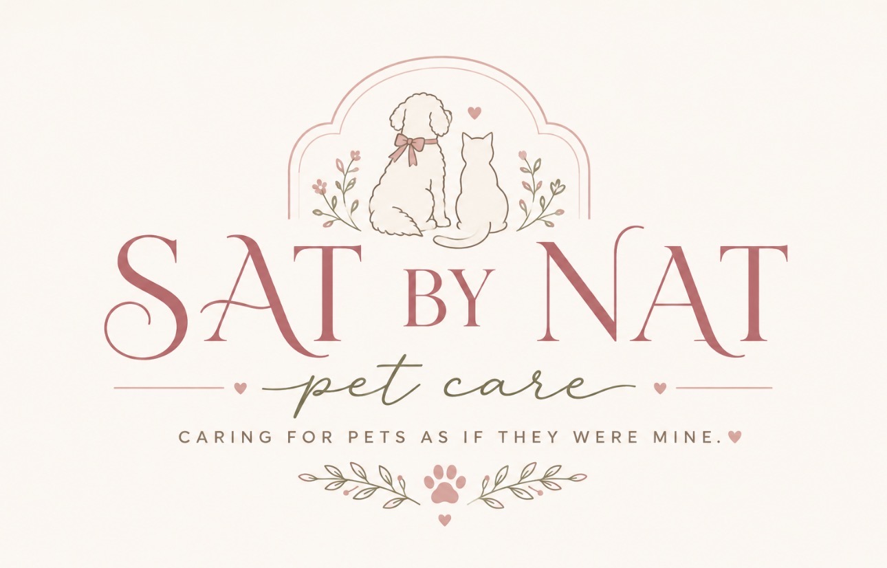Sat by Nat logo