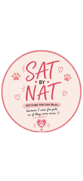 Sat by Nat logo