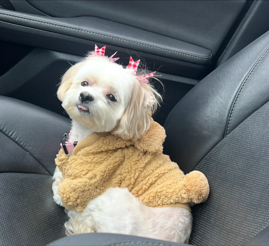 Lola