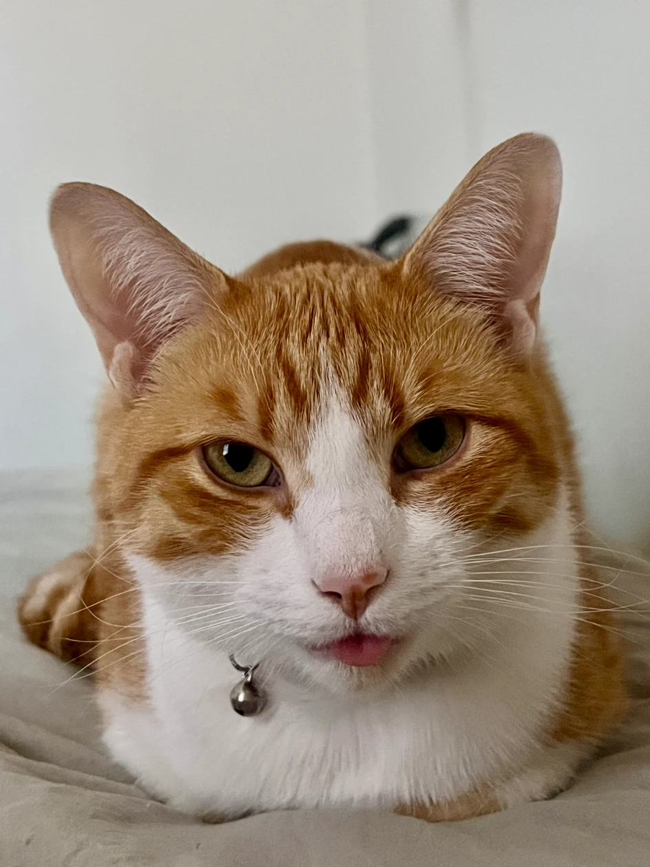 Milo